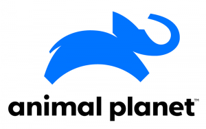 LB - Animal Planet logo for the Lookback table